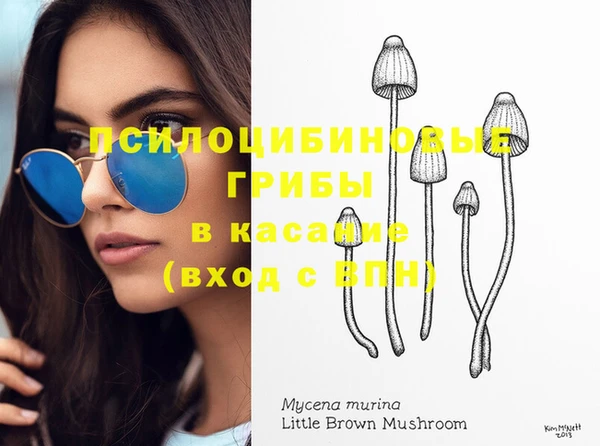мдма Приозерск