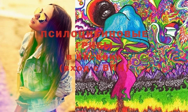 дурь Абинск