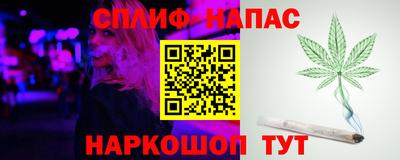 стафф Гусев