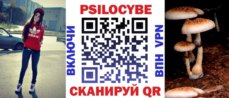 Галлюциногенные грибы GOLDEN TEACHER нарко площадка клад Мурино