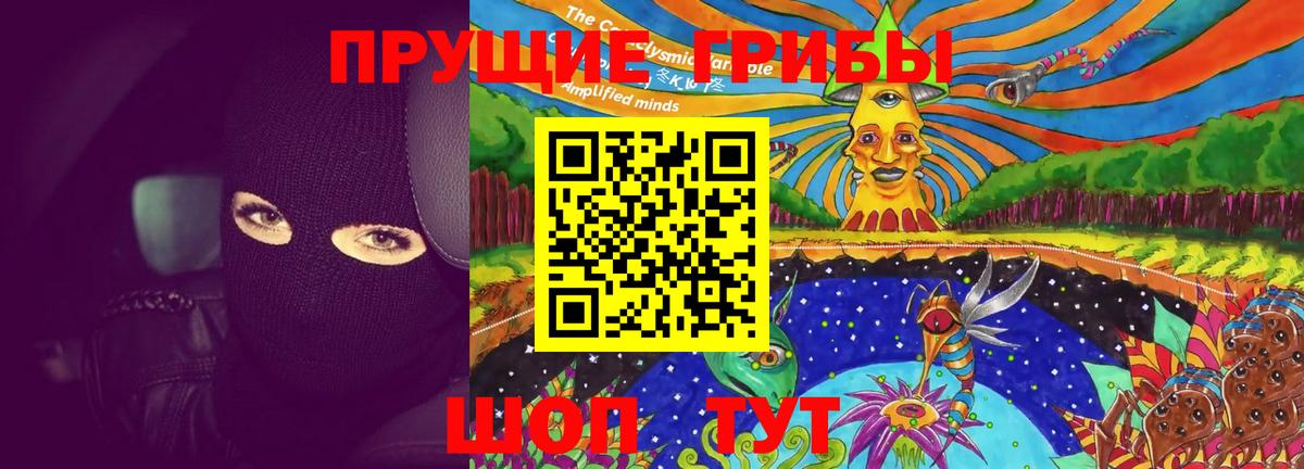 Псилоцибиновые грибы GOLDEN TEACHER Мурино