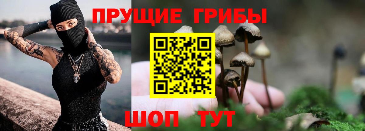 Галлюциногенные грибы мицелий  Вход с VPN  Мурино 